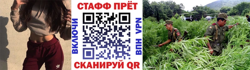Как найти наркотики Невинномысск Конопля  Псилоцибиновые грибы  ГАШ  КОКАИН 
