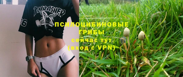 прущий лед Кодинск